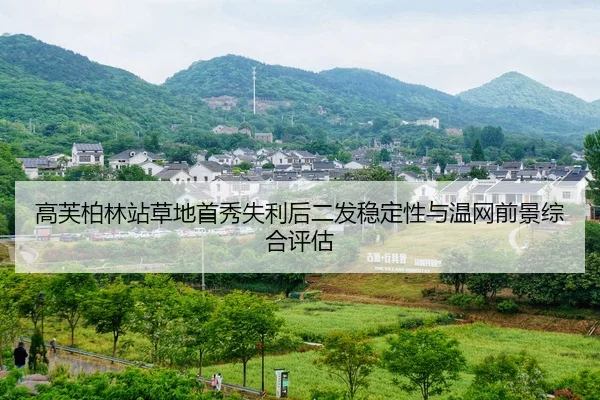 gao-fu-bo-lin-zhan-cao-di-shou-xiu-shi-li-hou-er-fa-wen-ding-xing-yu-wen-wang-qian-jing-zong-he-ping-gu-2-523.jpg
