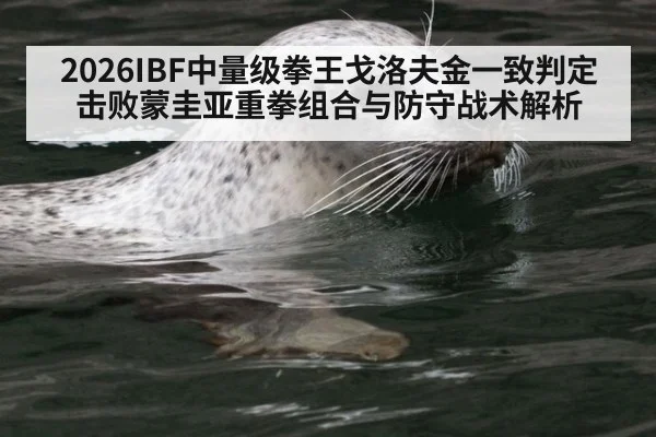 2026IBF中量级拳王戈洛夫金一致判定击败蒙圭亚重拳组合与防守战术解析